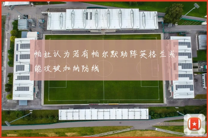 帕杜认为若有帕尔默助阵英格兰或能攻破加纳防线